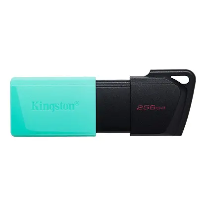 Kingston DataTraveler Exodia M Memoria USB 256GB - USB 3.2 Gen 1 - Capuchon Movil - Enganche para Ll