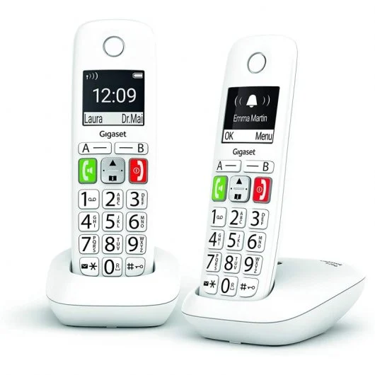 Gigaset E290 Duo Telefono Inalambrico Dect + 1 Supletorio - Pantalla Grande en B/N - Teclas con Nume