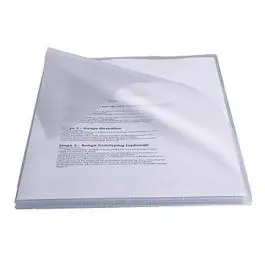 Esselte Caja de 100 Dossiers PVC 180 Micras - Tamao A4 - Transparente