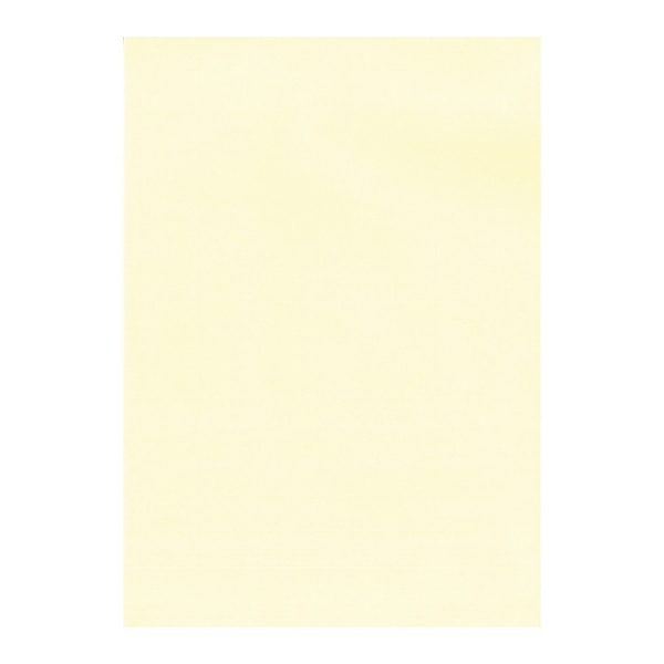 Apli Pack de 100 Hojas de Papel Verjurado - Alta Calidad - 100gr - Apto para Impresoras y Escritura 