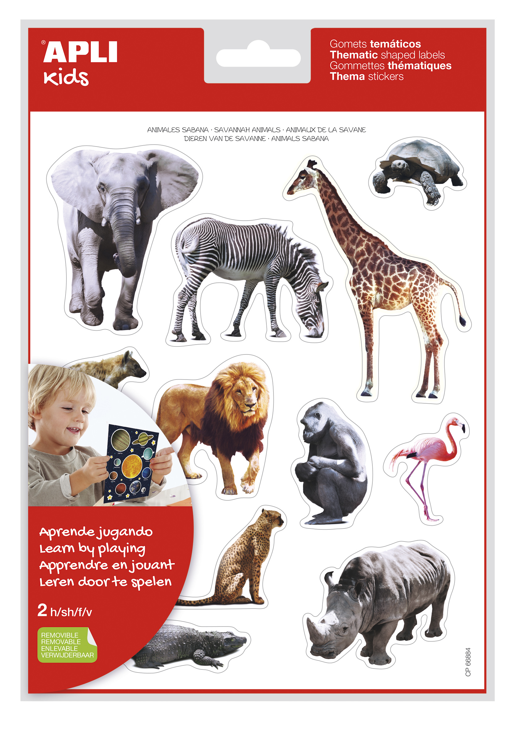 Apli Gomets Tematicos Realistas Animales Sabana - 24 Gomets - Adhesivo Removible - Desarrollados con