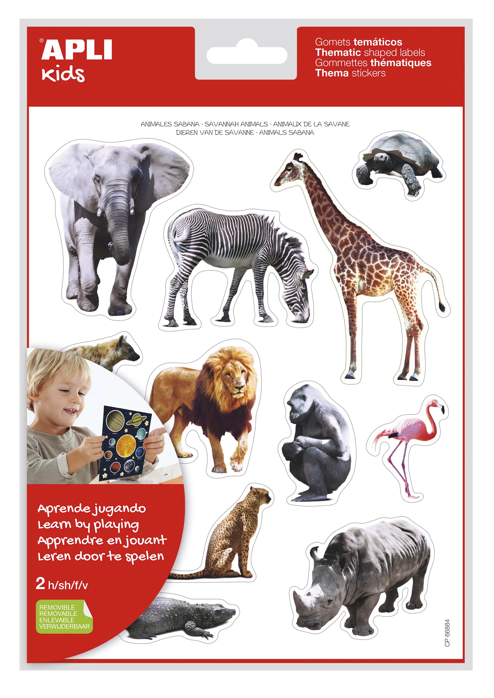 Apli Gomets Tematicos Realistas Animales Sabana - 24 Gomets - Adhesivo Removible - Desarrollados con