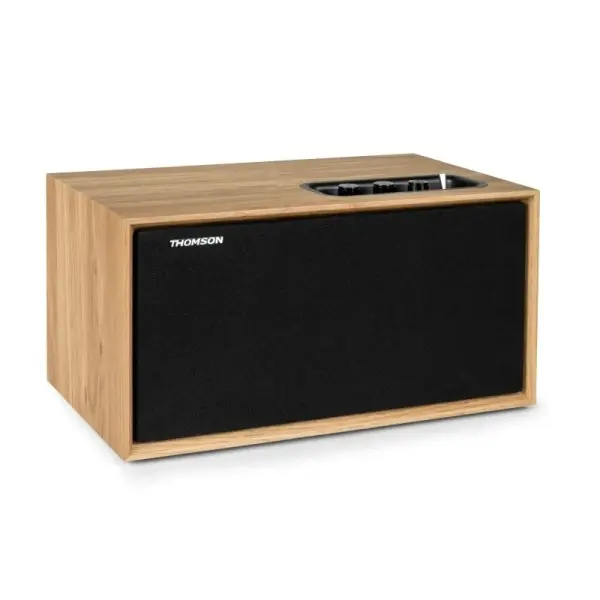 Thomson WS502 Altavoz 100W Bluetooth 5.0 - Caja de Madera - Frente Desmontable - Entrada RCA, USB, A