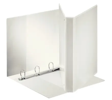 Esselte Canguro Plus Carpeta de Anillas - Formato A4 - Capacidad para 230 Hojas - 4 Anillas de 25mm 